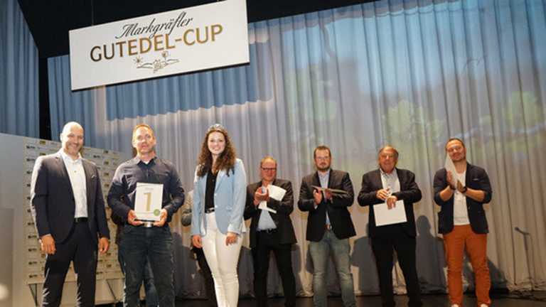 Gutedel Cup Siegerweine Haltinger Winzer
